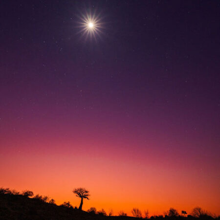 Vollmond über dem Mashatu Wildreservat in Botswana